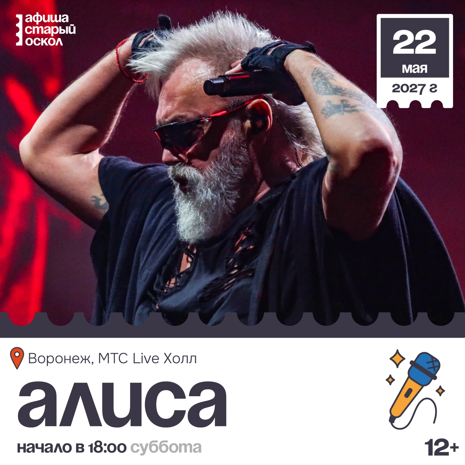 🎤 Концерт «Алиса» 12+