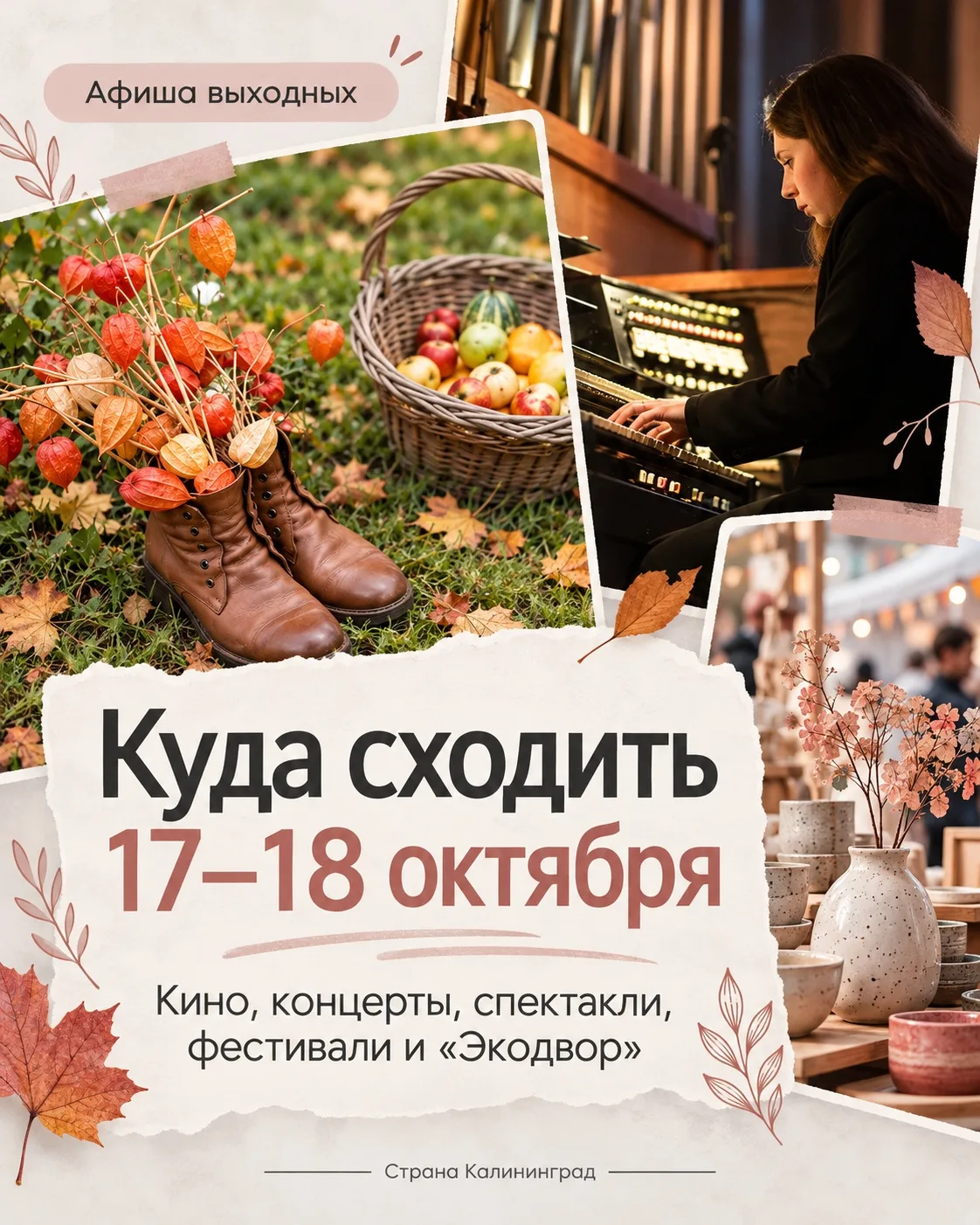 Куда сходить в выходные: 14 идей для Калининграда и области