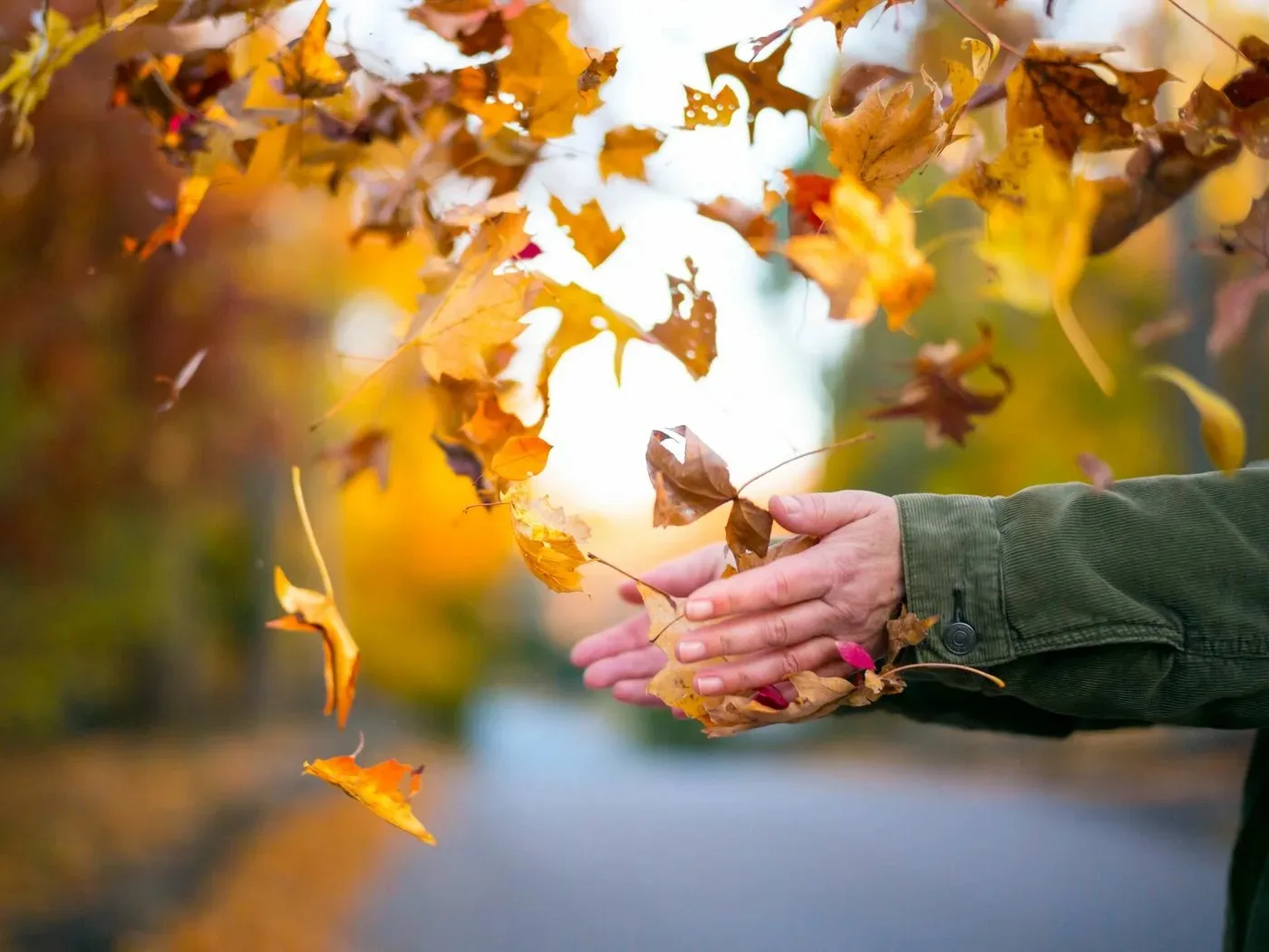 🍂 В Пушкино предупредили об опасности осенних фотосессий с листвой
