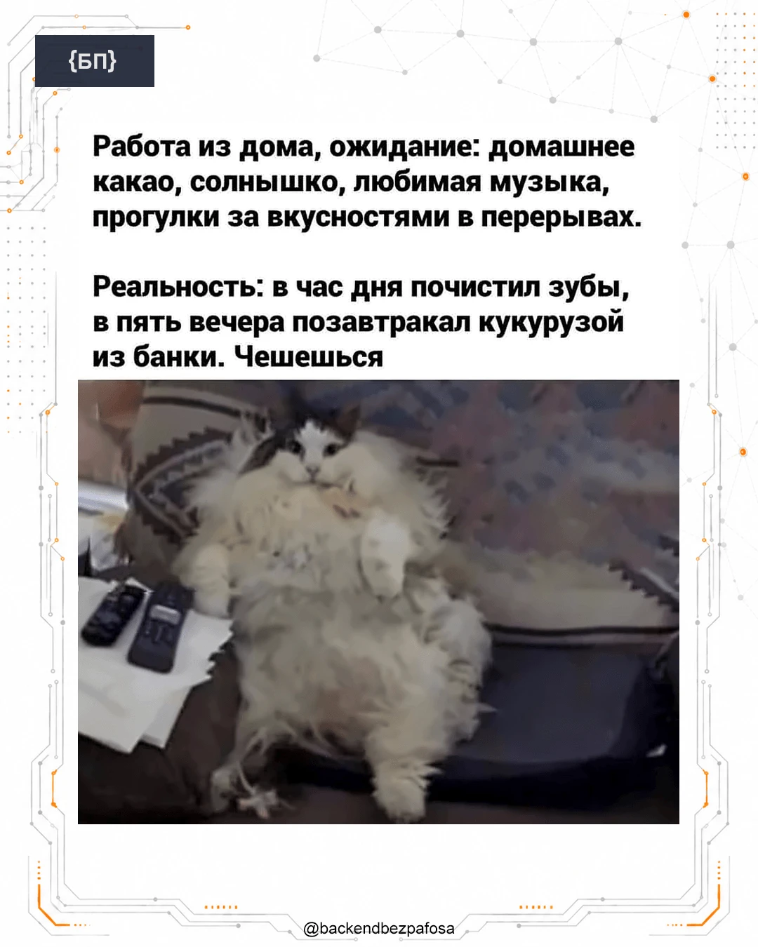 Удалёнка в презентации и удалёнка после нескольких лет практики немного отличаются.