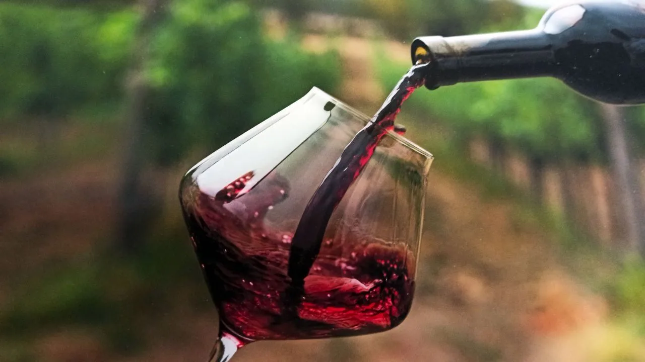 🍷Крымские вина признаны лучшими по итогам года в рейтинге Simple Wine News