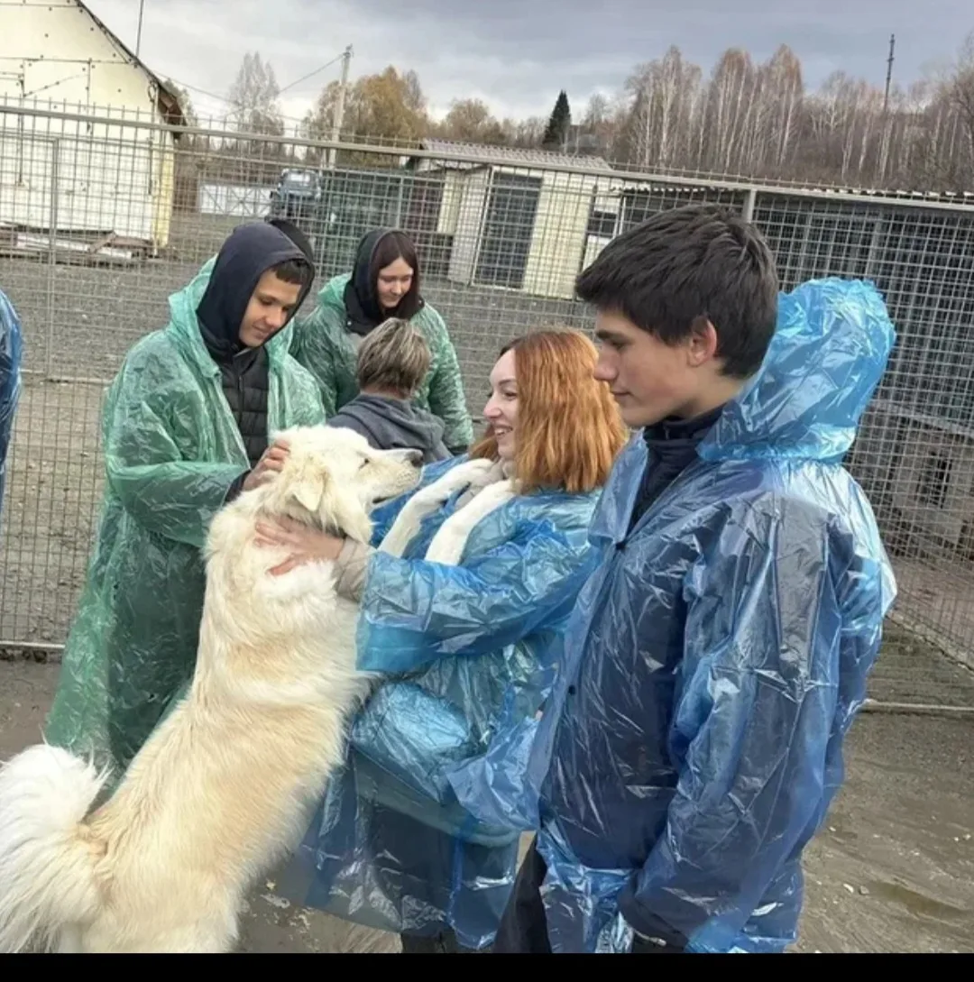 ВЕКТОР | ШКОЛА 90