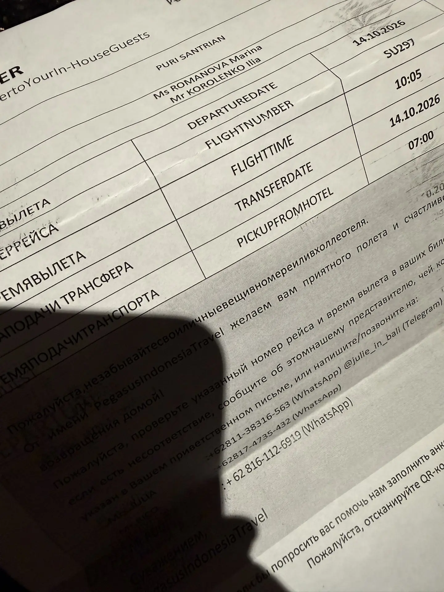 🍅🍅🍅НАЗАД К ПОМИДОРАМ!