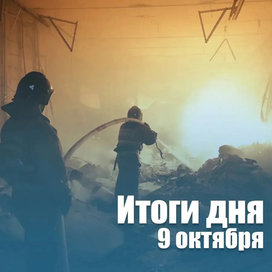 За сутки в Новосибирской области: