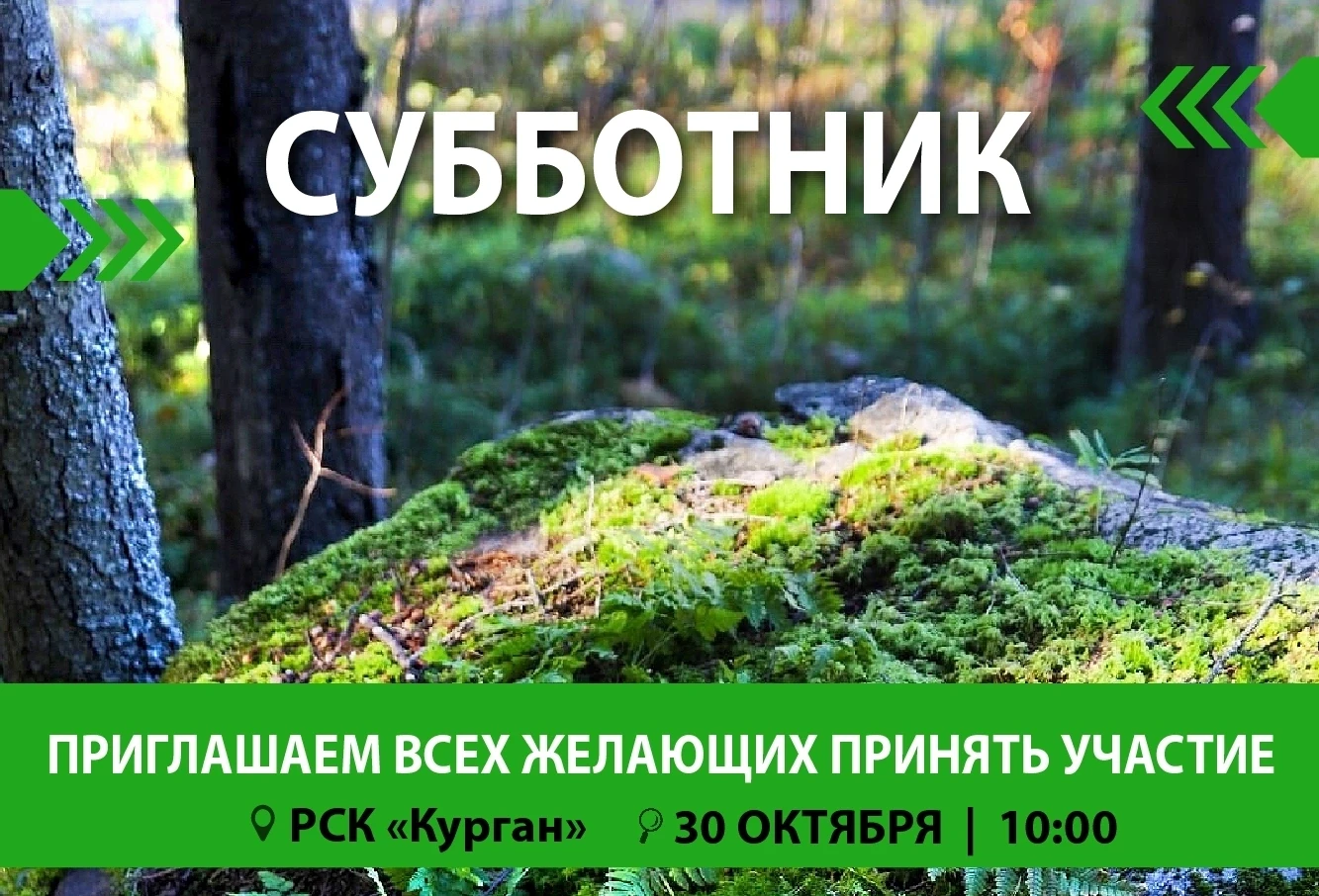 🌿 Приглашаем на осенний субботник на Кургане!