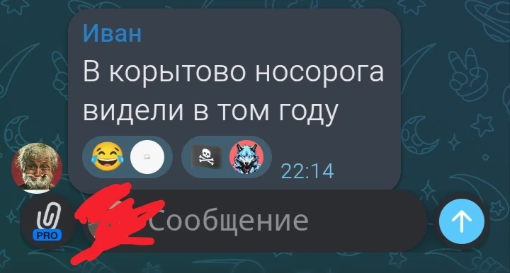 К посту про медведей !