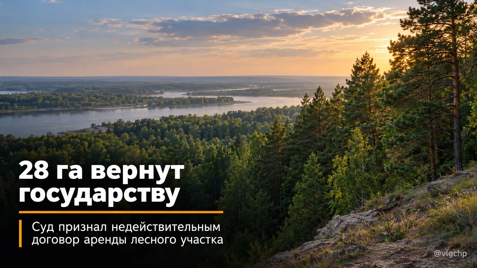 28 га леса вернут государству после решения суда