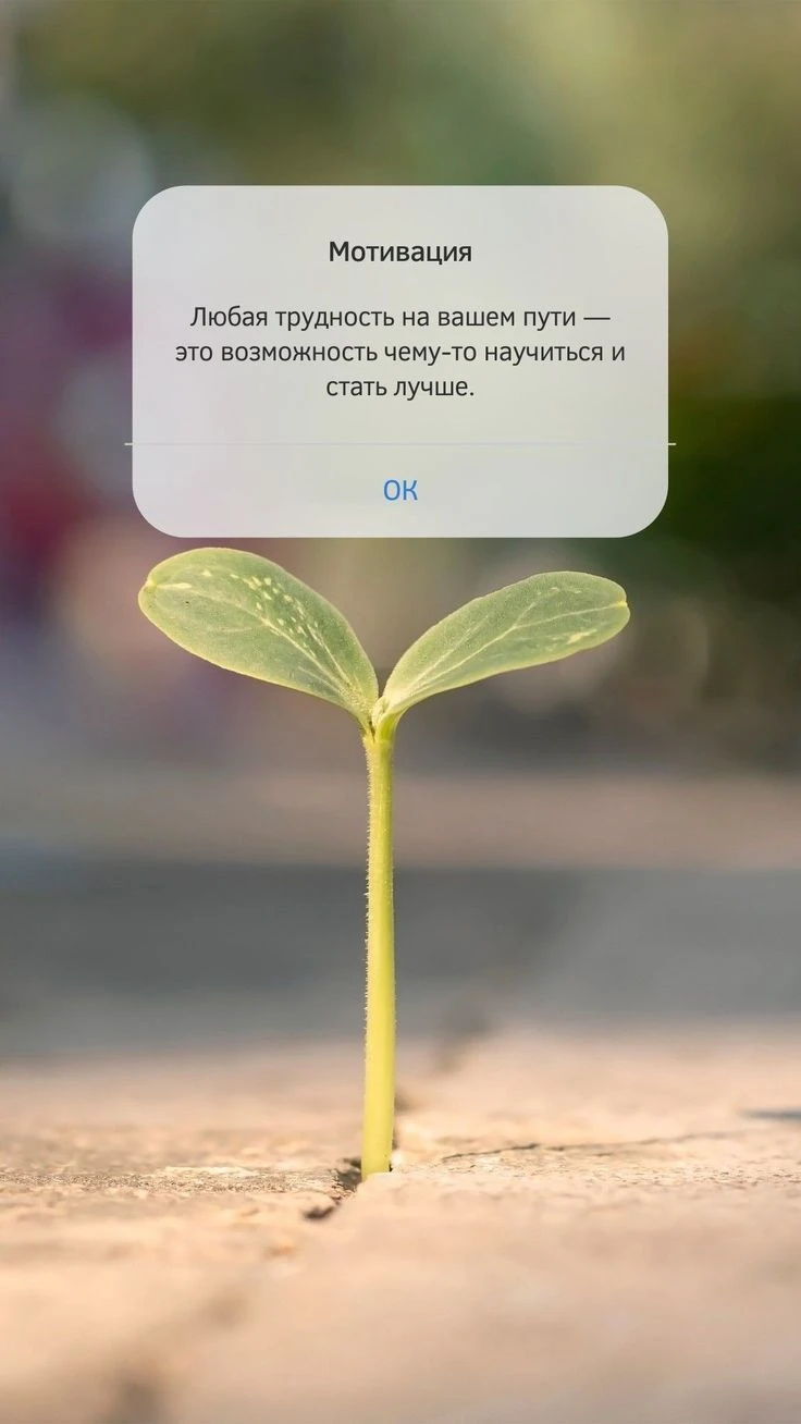Что такое мотивация на самом деле