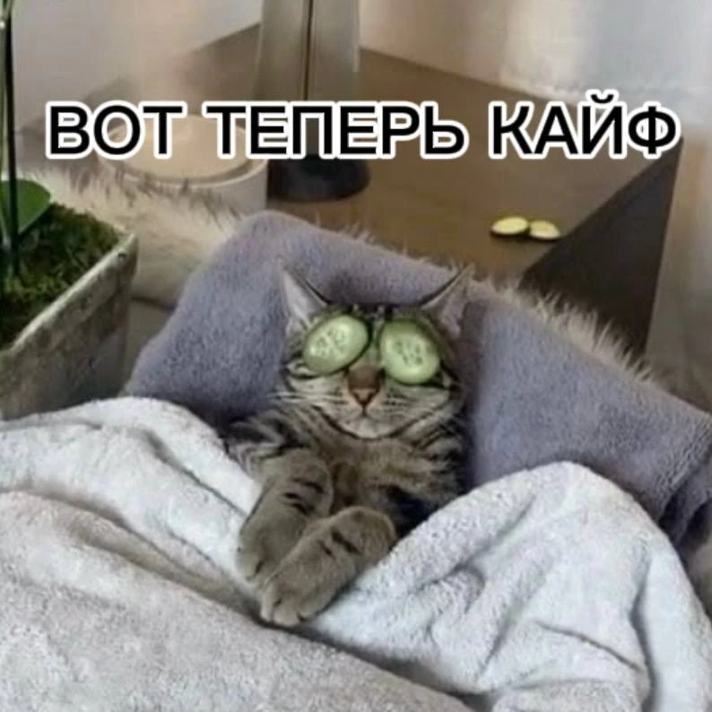 ⚡️🔮 Замечали, что в разные дни недели мы будто становимся совершенно разными людьми?