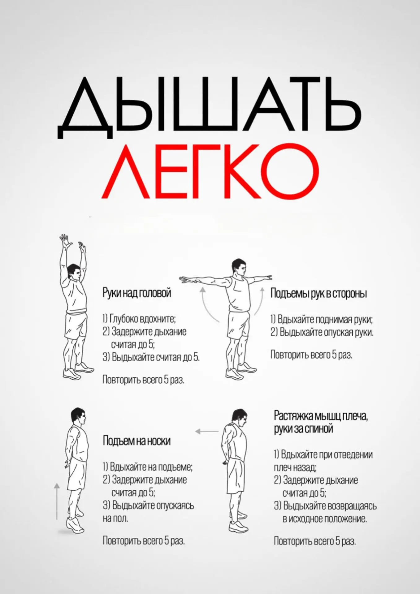 Подпишись на программы