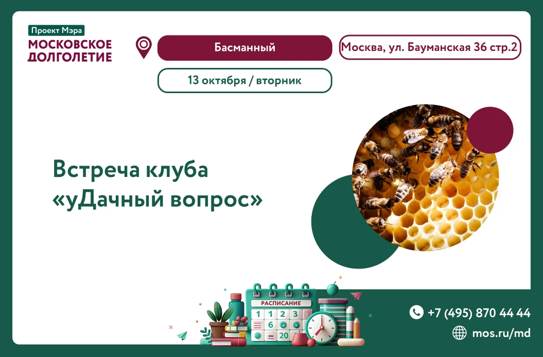 Добрый день, уважаемые участники Московского долголетия!