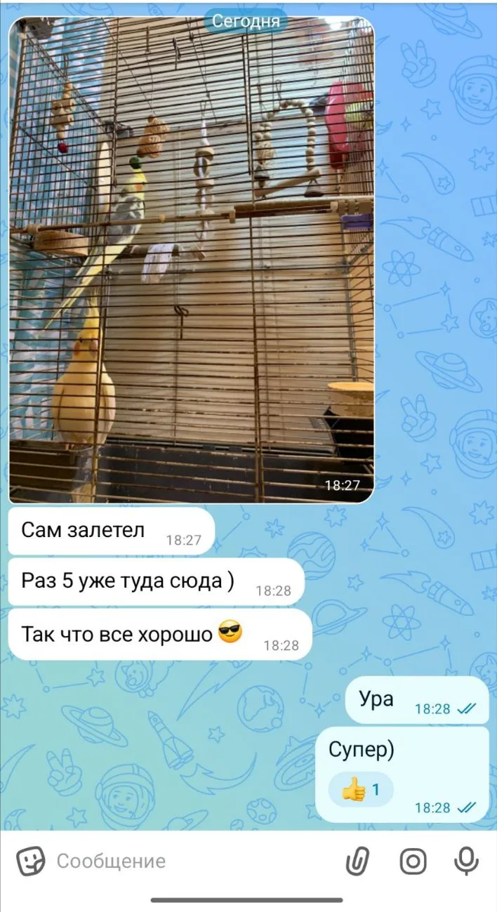 Карелки 😃🤗🤩