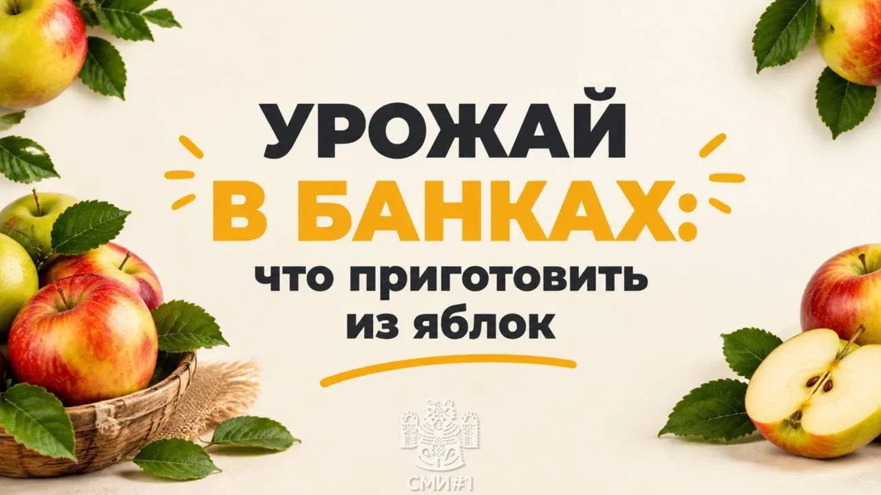 Сейчас самая яблочная пора, и многие уже начали раздавать урожай знакомым и соседям. Не...
