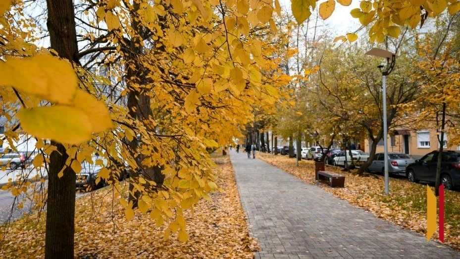 Воронежцев ждут теплые дни: