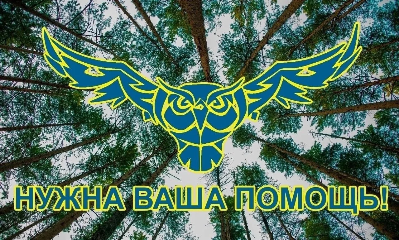 Появилась новая информация о пропавшей в Твери девочке