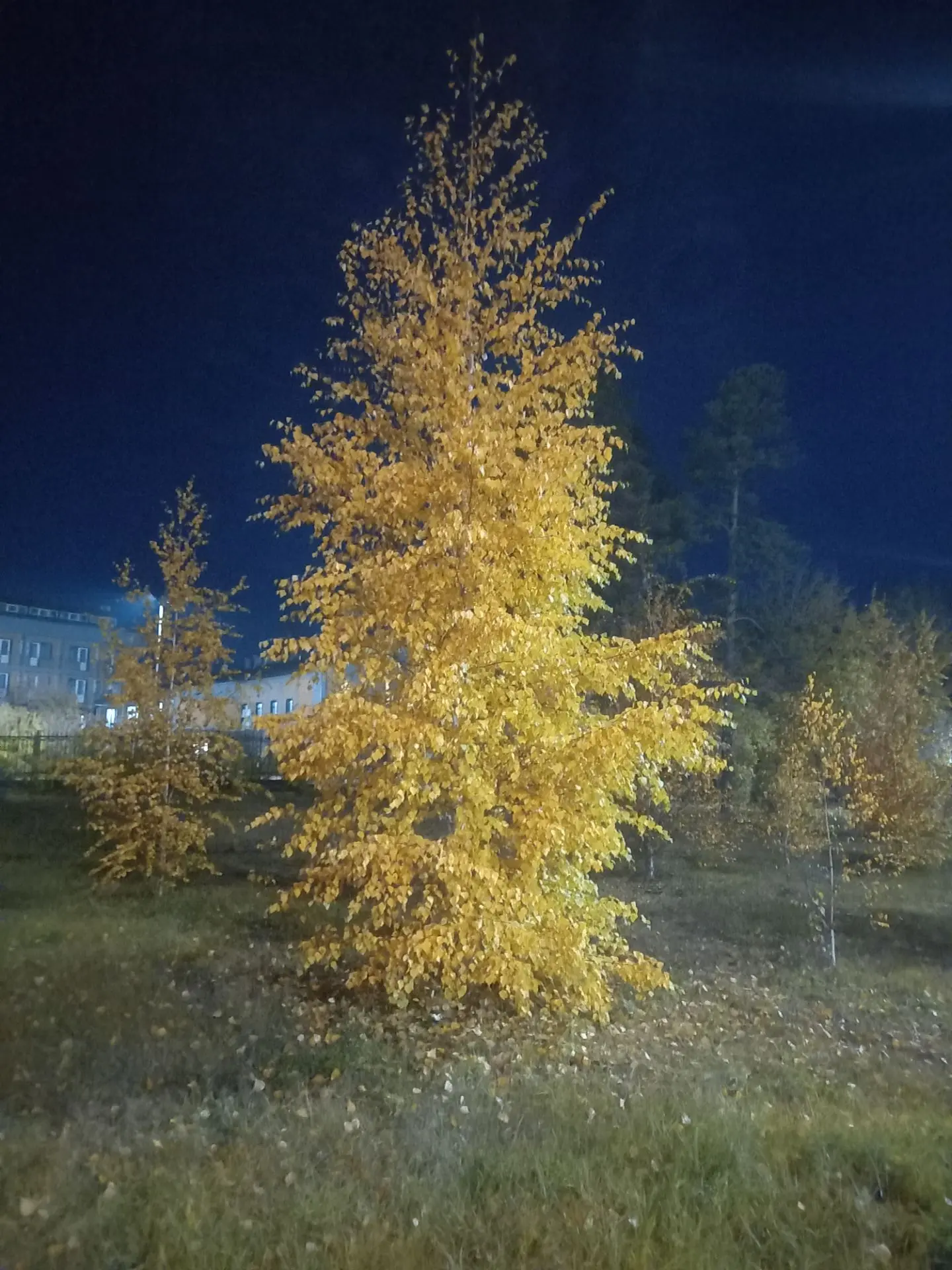 Осень — не про грусть.