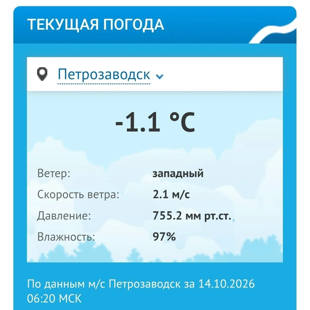 В Петрозаводске ударил первый осенний заморозок.