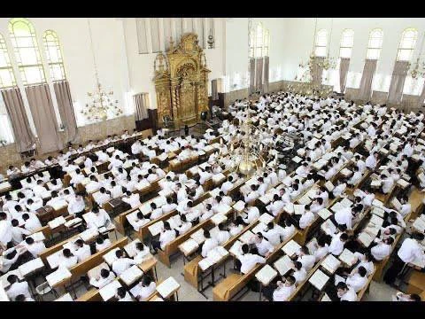 Поздравляем мир Торы с началом нового зимнего змана (семестра)!