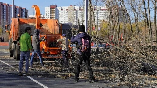 Парк «Берёзка» в Оренбурге очистили от сухостоя и мусора