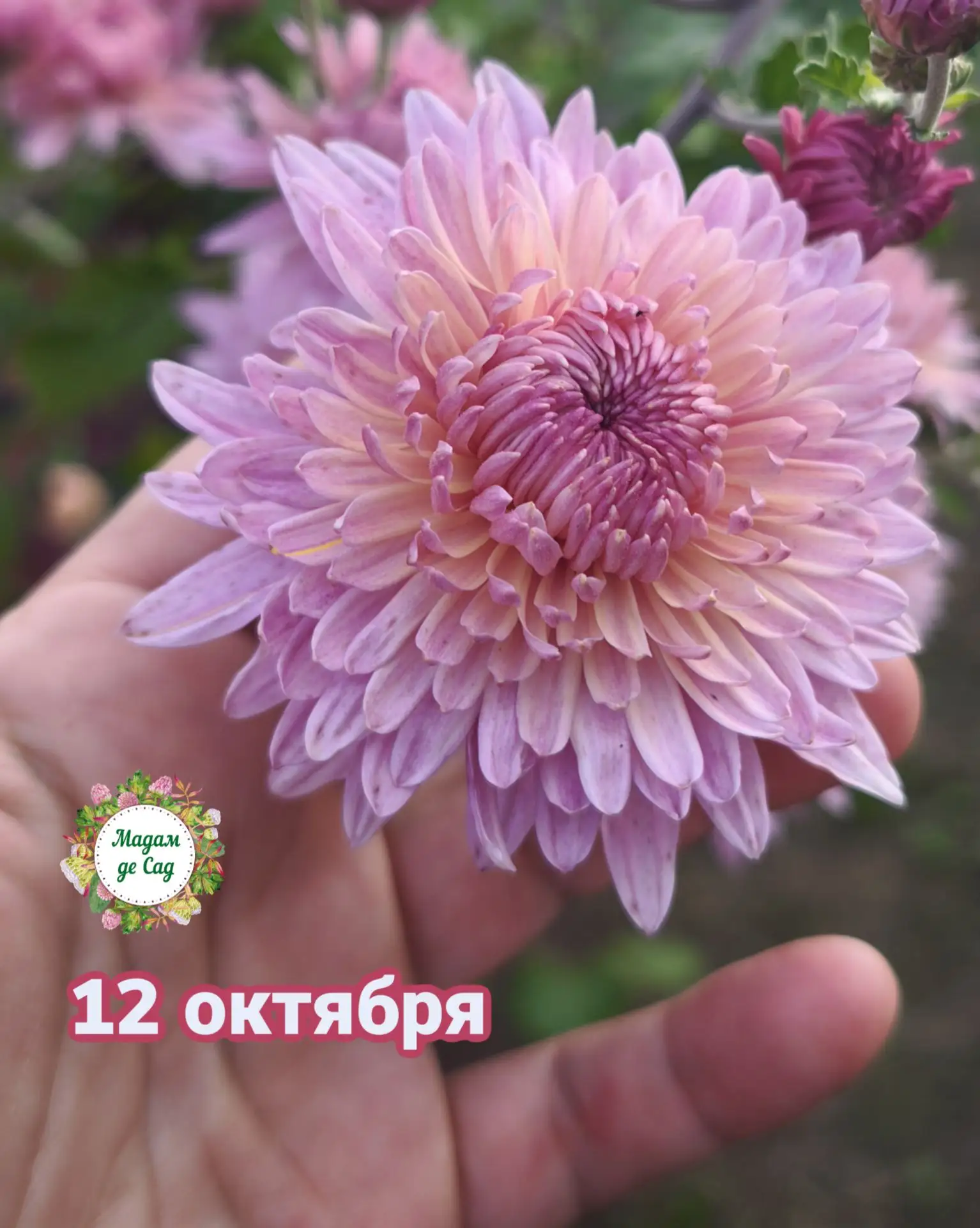 💗 Доброе утро!