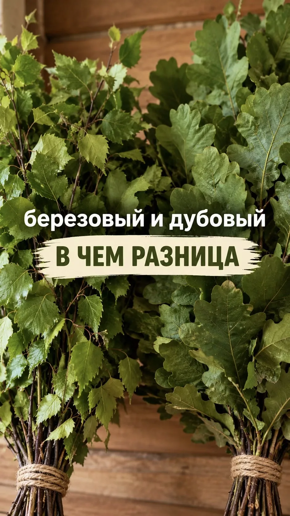 🧐В мире русской бани есть вечный и очень приятный спор: какой веник выбрать — дубовый ...