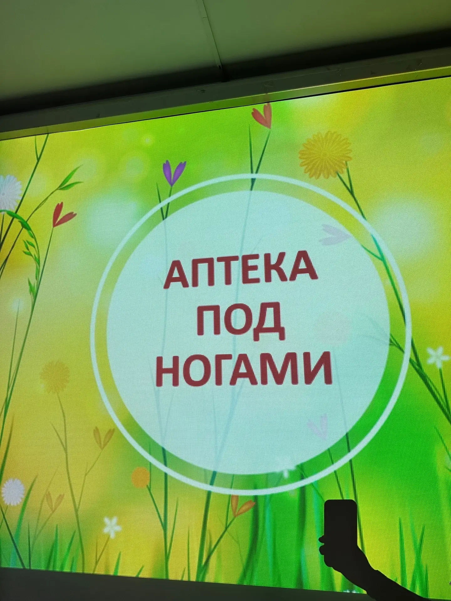 Как найти лекарство... прямо у себя под ногами?