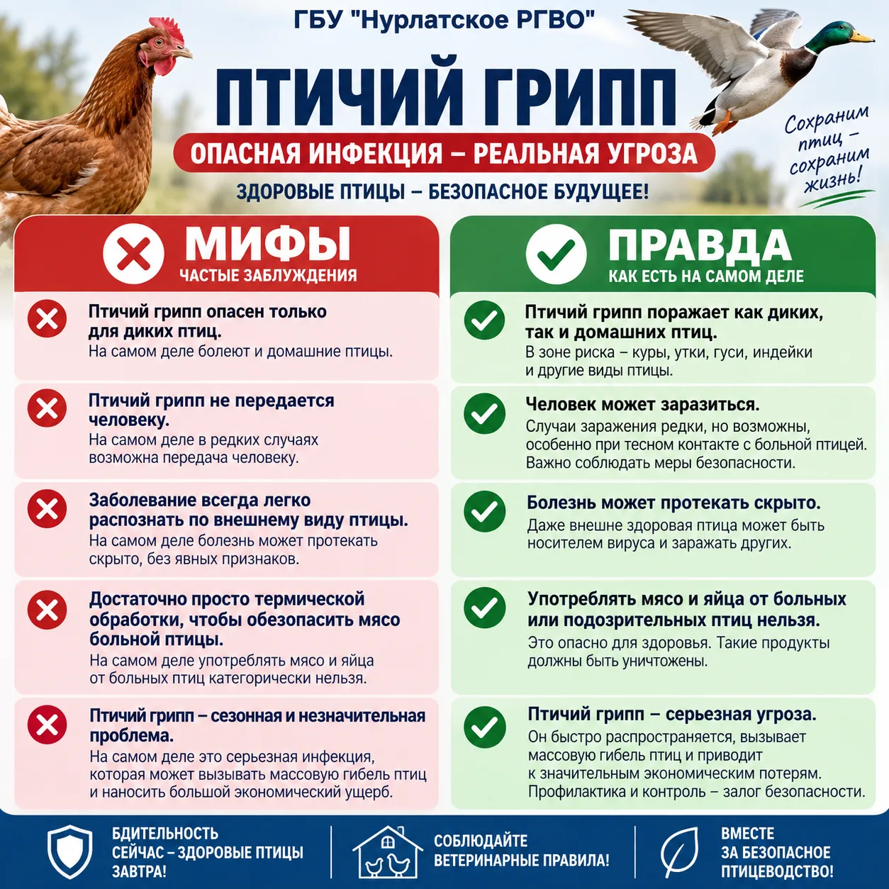 Птичий грипп: коротко и по делу