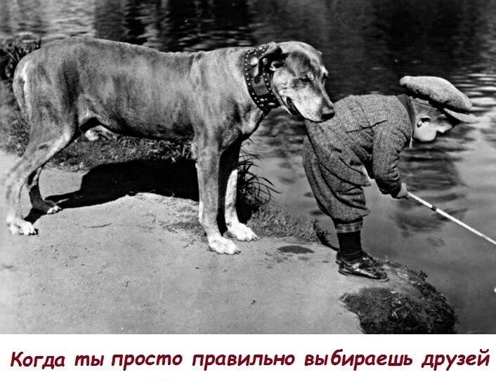 Говорят, друг — это твоё отражение. Не в смысле, что вы одинаковые, а в том, что рядом ...