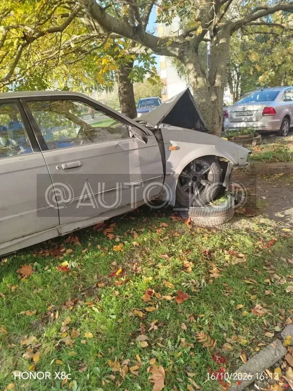 Ночью на Громовой кто-то дерево приобнял.
