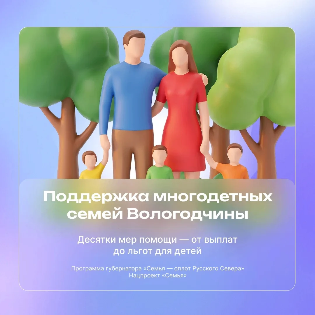 Многодетные семьи Вологодской области могут воспользоваться целым комплексом мер поддер...