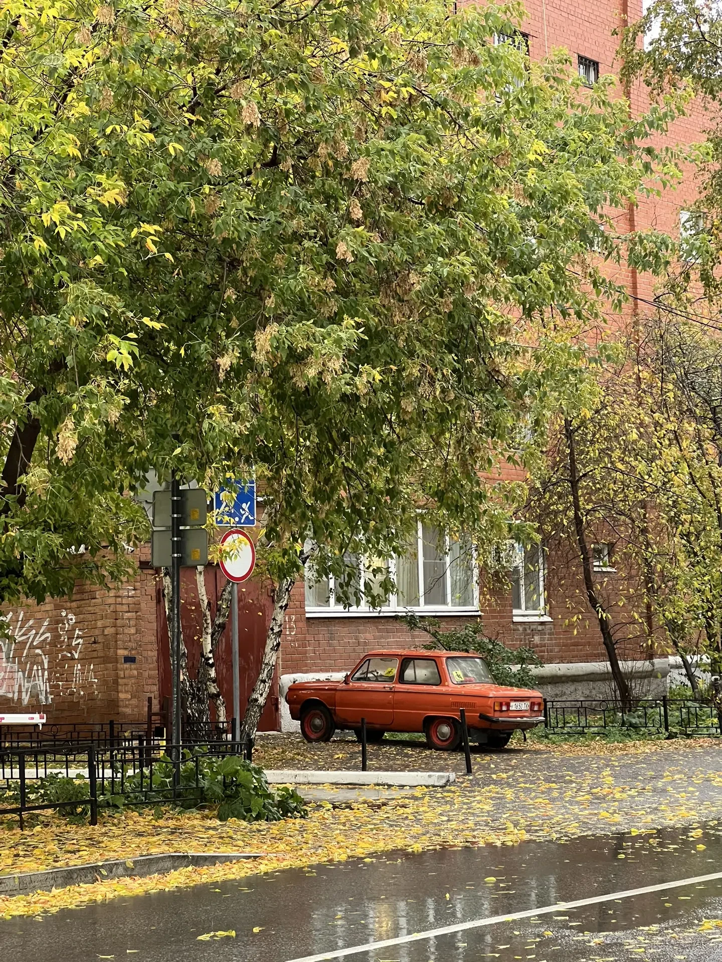 🔥 Горячие источники Тюмени: окунитесь в тепло даже в прохладное время года! 🔥