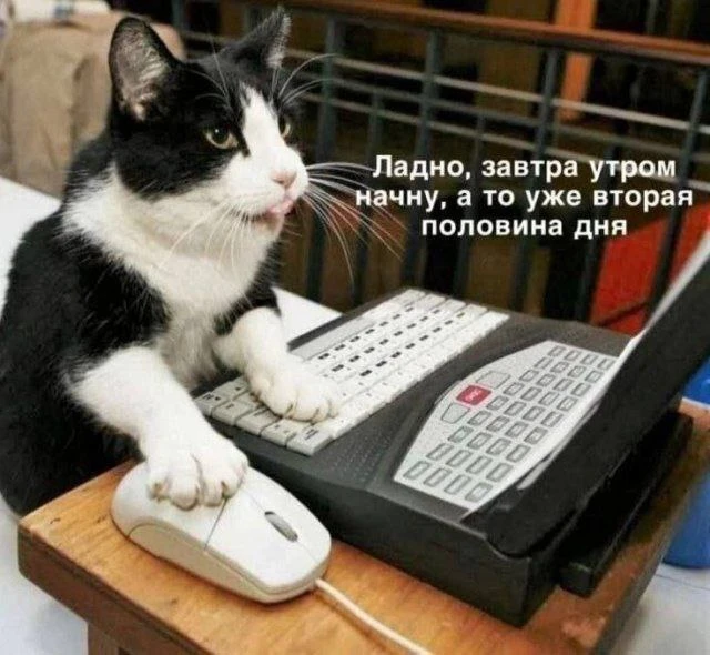 Подпишись на Приколиста