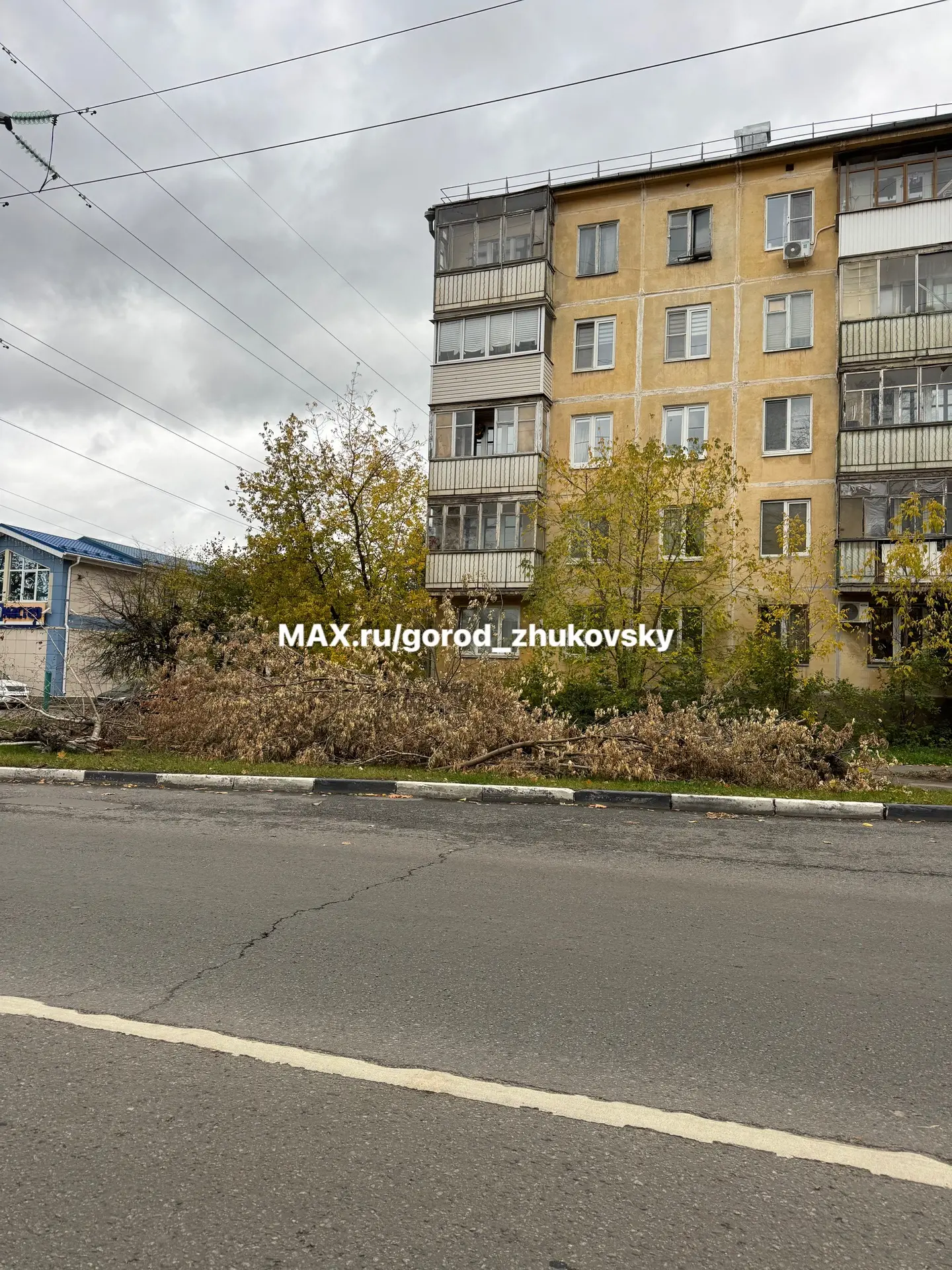 Спиленные деревья до сих пор лежат на Чкалова.