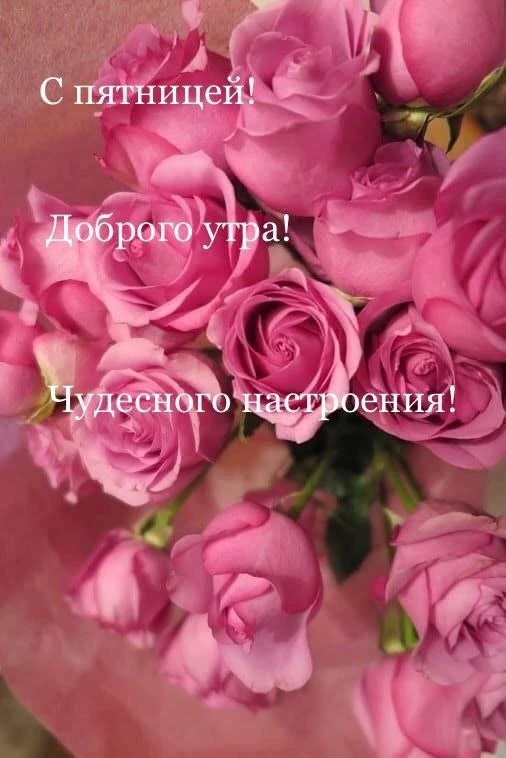 Делитесь открыткой с друзьями и поддерживайте реакцией