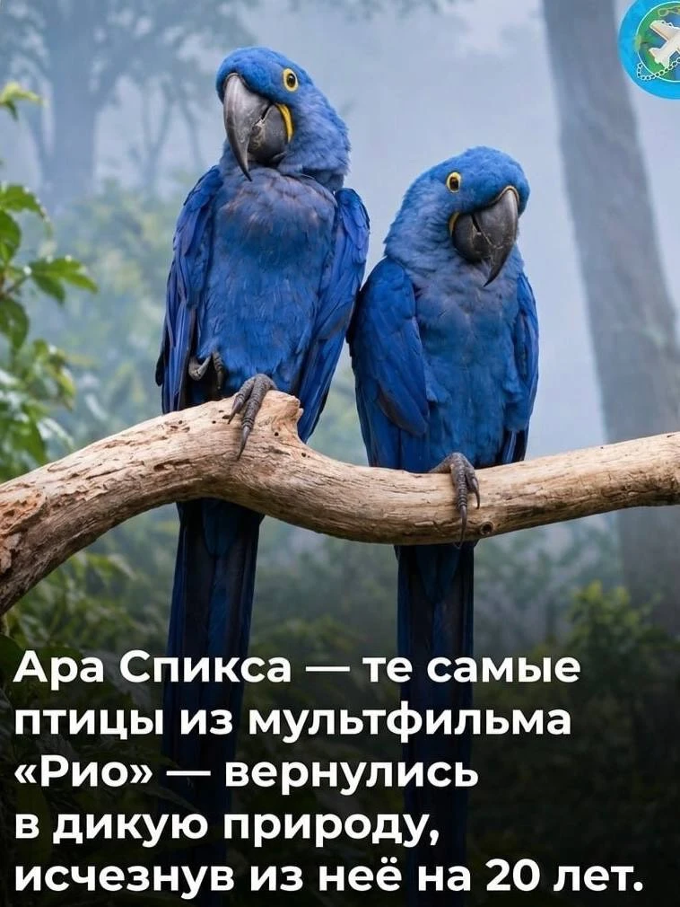 Предлагаю немного разбавить поток информации хорошими новостями со всего мира, о которы...