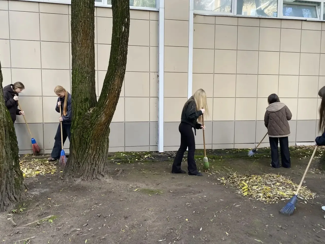 Сегодня учащиеся 9 «В» класса приняли активное участие в школьном субботнике. Ребята пр...
