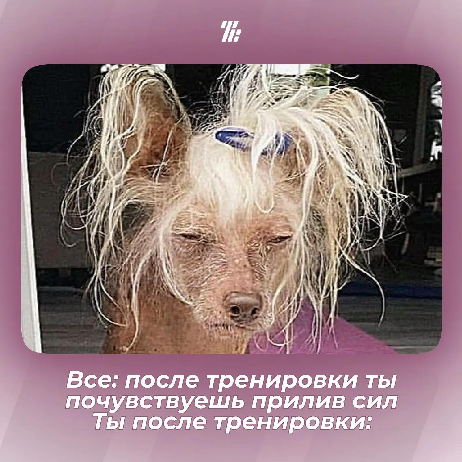 🏋️ Тренировка никого не щадит!