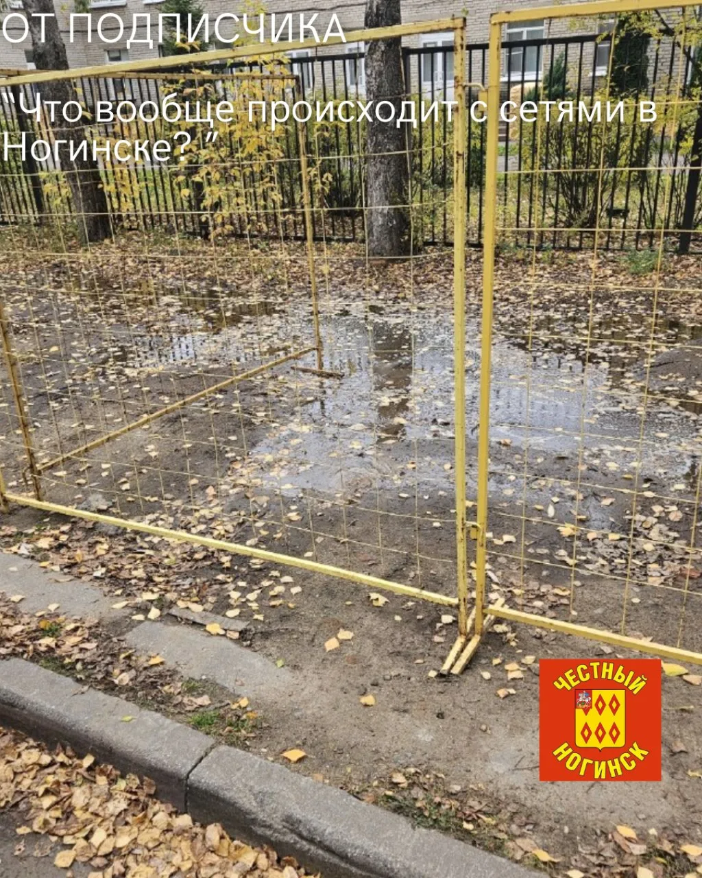 От подписчика: