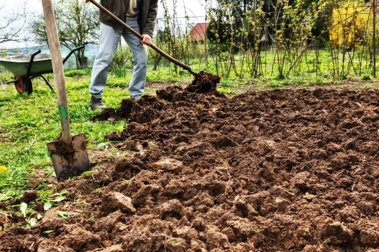 🌱 Осенняя перекопка почвы: польза или вред?