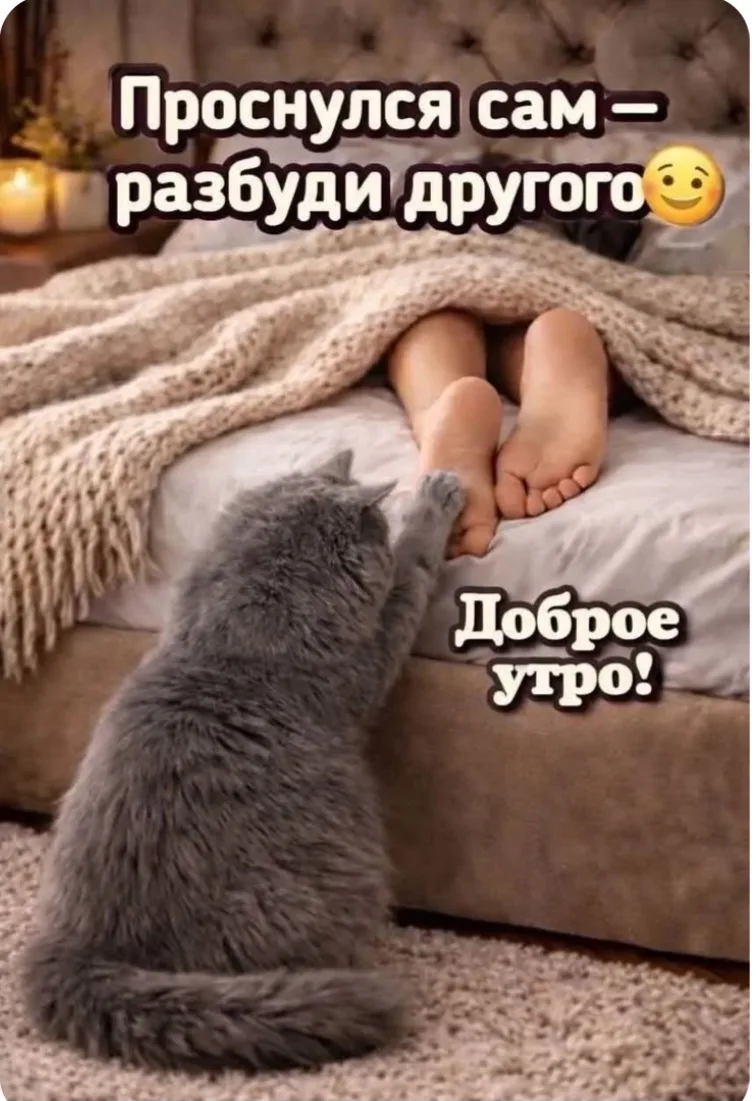 Подписаться 🍁