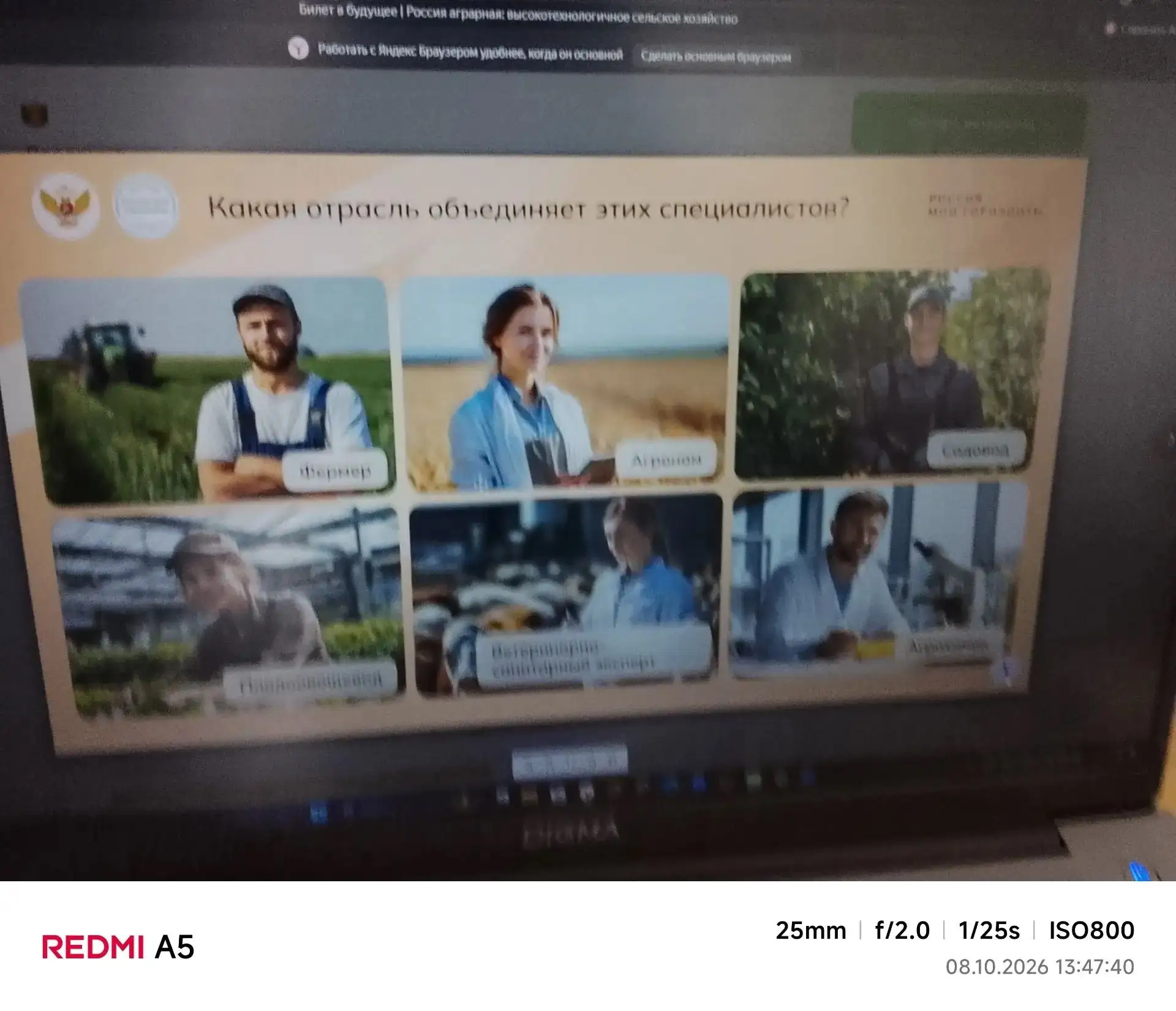 «Россия — мои горизонты»: открываем секреты высокотехнологичного сельского хозяйства.