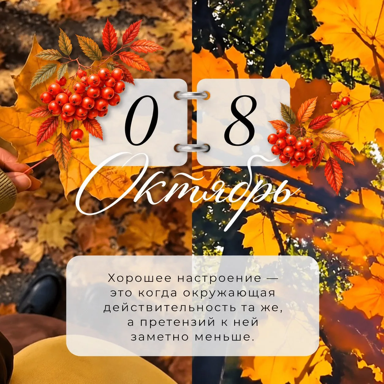 🔖ПРОГНОЗ НА ДЕНЬ