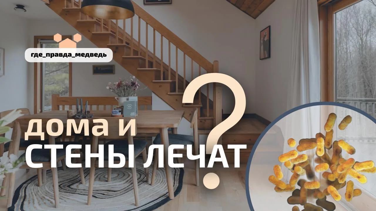 🏠4 неочевидные вещи в вашем доме, которые мешают иммунитету бороться с простудами