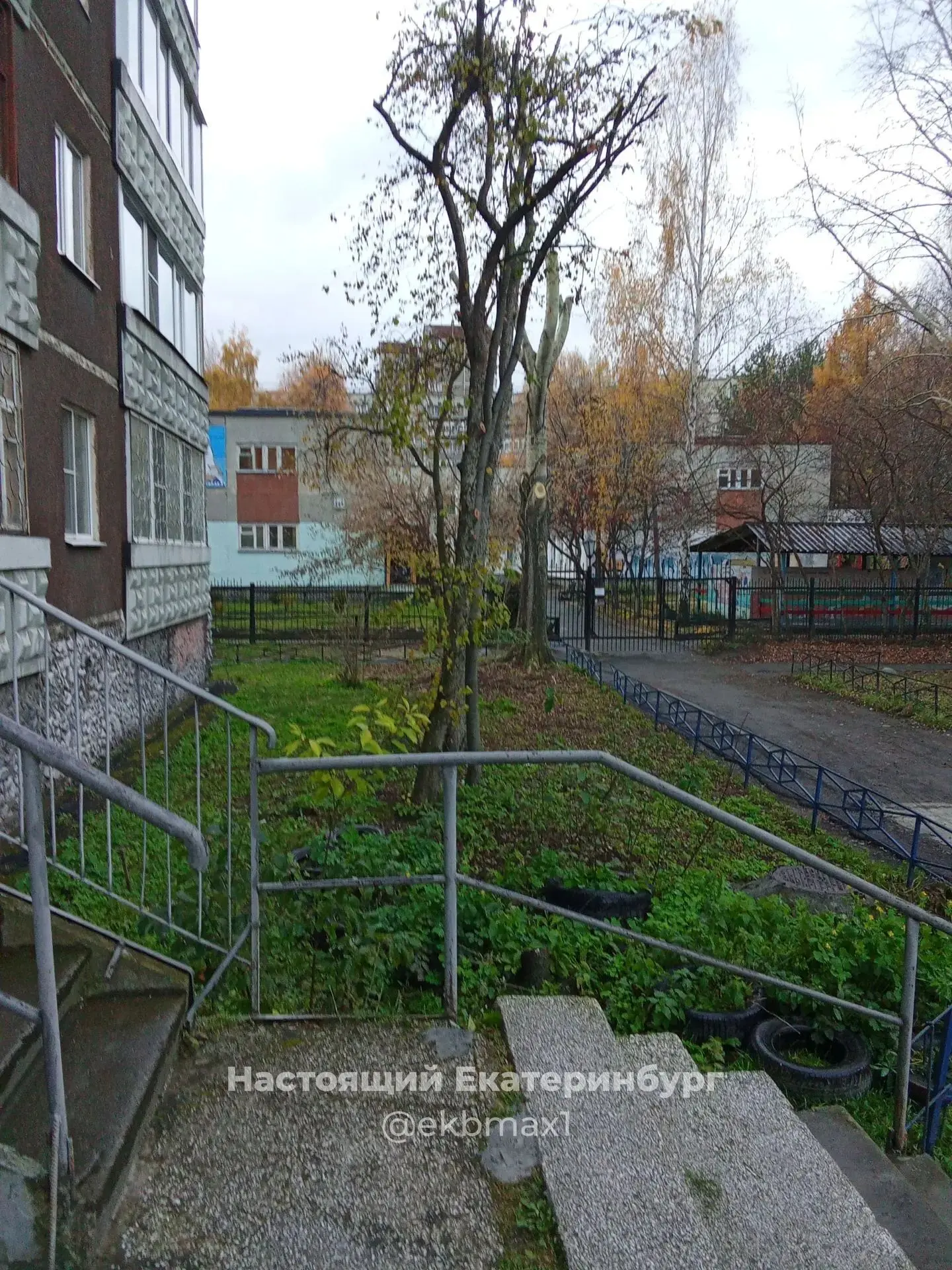 Вот так сейчас выглядит газон у дома Новгородцевой 9 к 3...