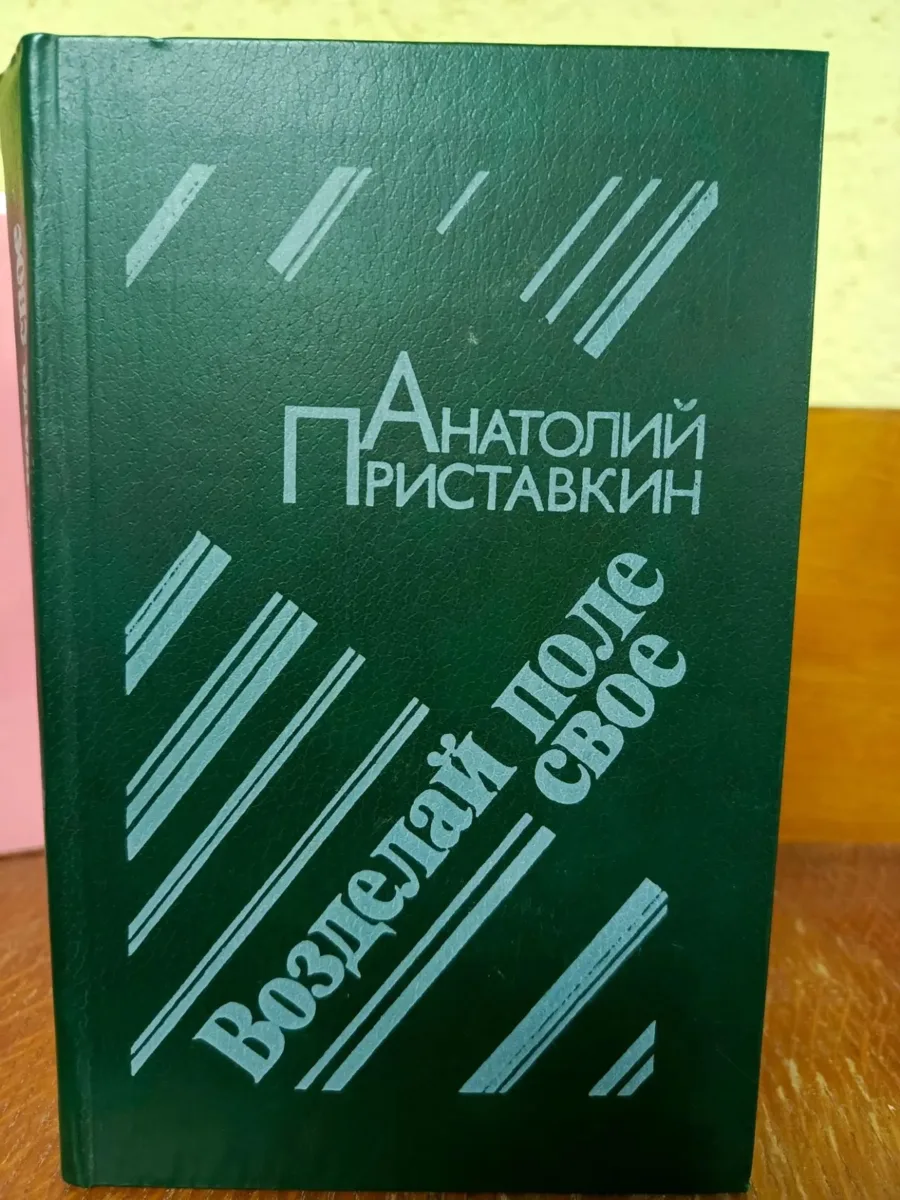 📚В Арамили открылась выставка к 95-летию Анатолия Приставкина