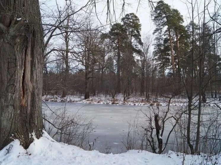 ❄️ Первый снег ждут уже в конце октября