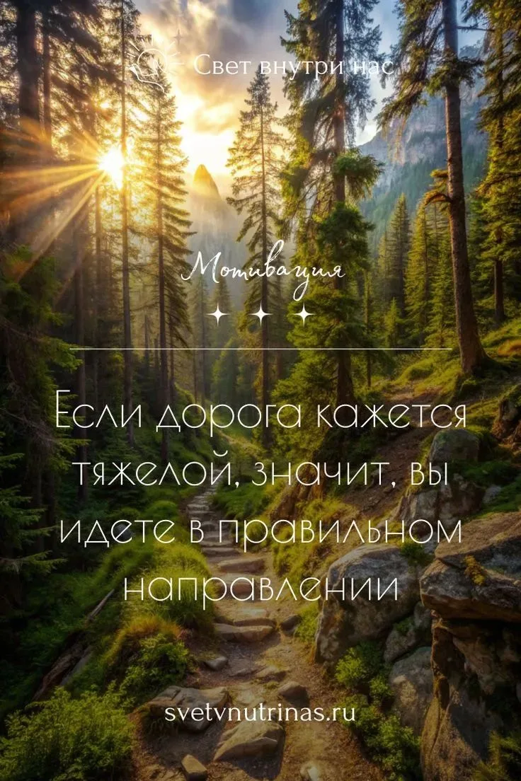 Доброе утро 🌸
