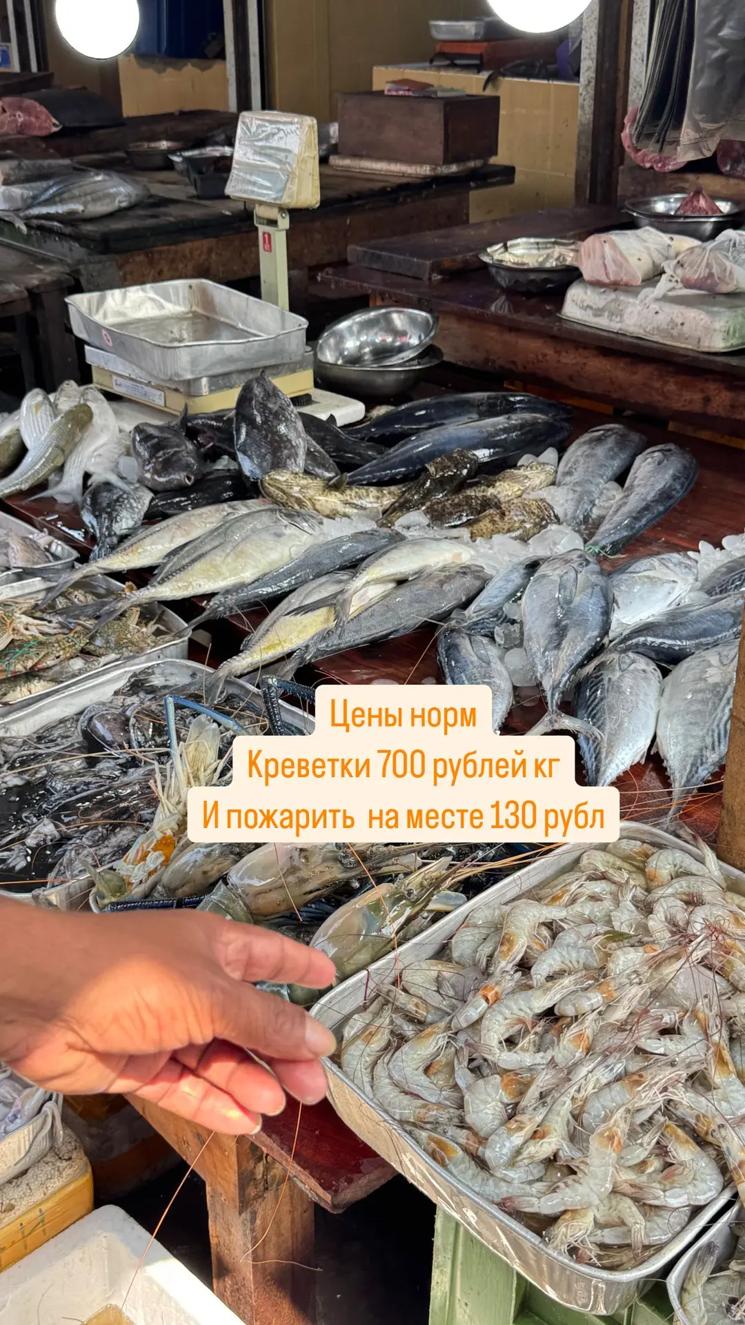 🐘 Шри-Ланка🌴Пляжный отдых: