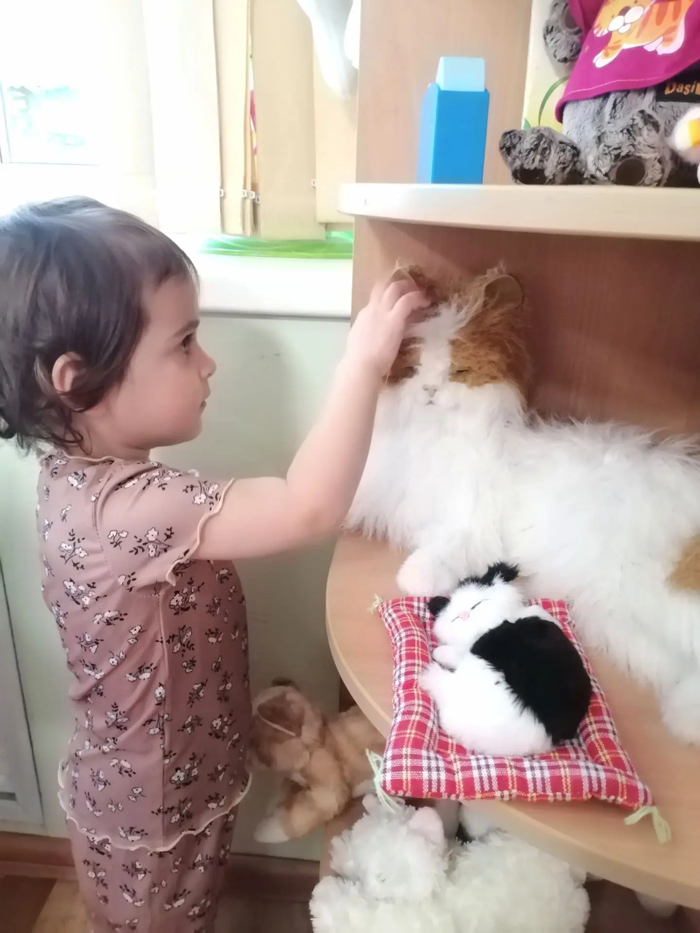 🐱💖 Сегодня в группе  «Зайчата»  открылся мини-музей "Котенька-коток" ! 🎉 Дети с вост...