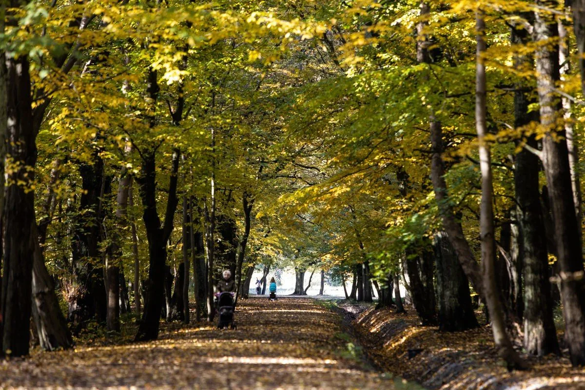 🌤 В Калининградской области ждут сухую неделю и первые заморозки на почве